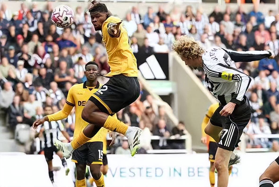 热刺客场憾负,被布莱顿逆转胜利的简单介绍 热刺客场憾负,被布莱顿逆转胜利的简单介绍