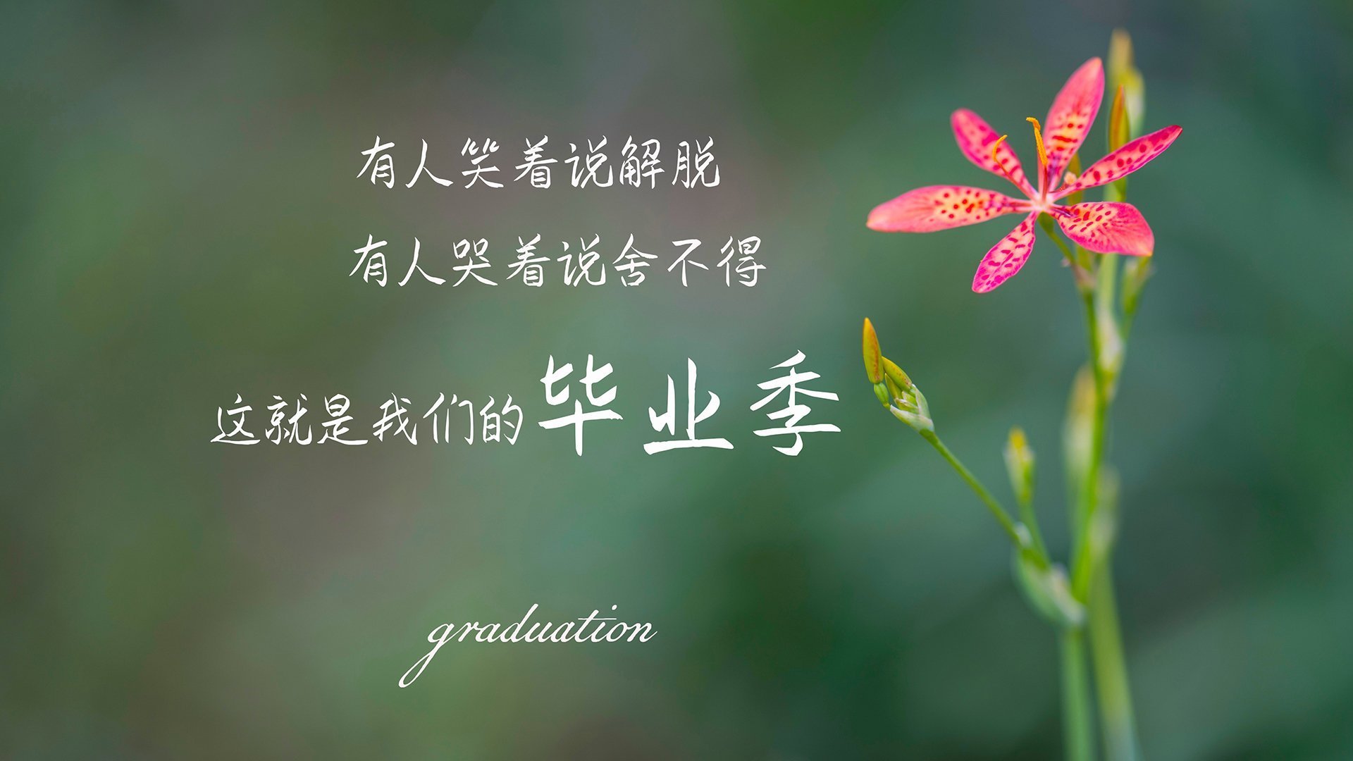 2026世界杯之夜，德罗赞攻防两端的绝对统治