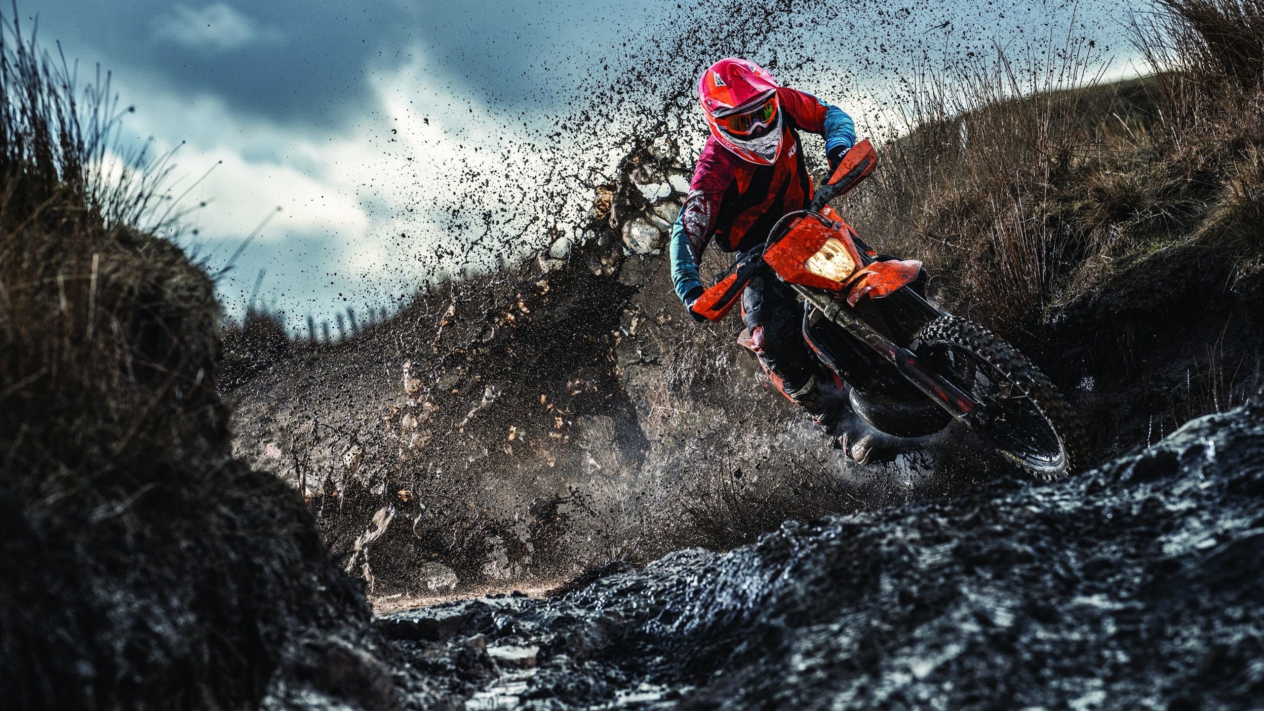 绿茵场上的险胜与羽球场上的统治，体育之日的双重奏